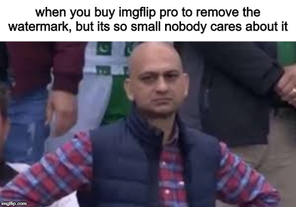sad cricket fan | when you buy imgflip pro to remove the watermark, but its so small nobody cares about it | image tagged in sad cricket fan | made w/ Imgflip meme maker