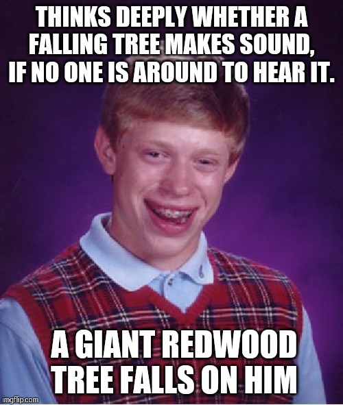 No one is around to see and hear what happened !! | THINKS DEEPLY WHETHER A FALLING TREE MAKES SOUND, IF NO ONE IS AROUND TO HEAR IT. A GIANT REDWOOD TREE FALLS ON HIM | image tagged in memes,bad luck brian | made w/ Imgflip meme maker