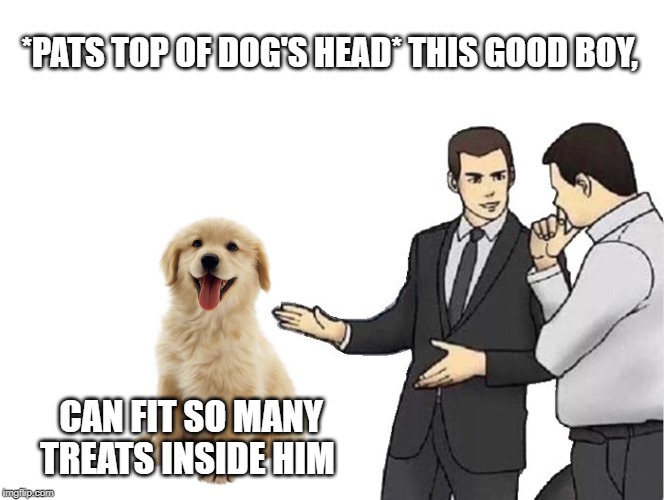 Car salesman pats a good boy | *PATS TOP OF DOG'S HEAD* THIS GOOD BOY, CAN FIT SO MANY TREATS INSIDE HIM | image tagged in memes,car salesman slaps hood,dogs,good boy,doggos | made w/ Imgflip meme maker