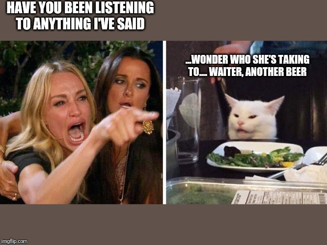 Smudge the cat | HAVE YOU BEEN LISTENING TO ANYTHING I'VE SAID; ...WONDER WHO SHE'S TAKING TO.... WAITER, ANOTHER BEER | image tagged in smudge the cat | made w/ Imgflip meme maker