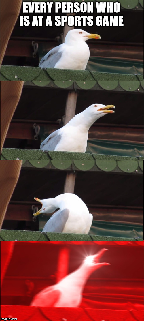 Sports people | EVERY PERSON WHO IS AT A SPORTS GAME | image tagged in memes,inhaling seagull | made w/ Imgflip meme maker