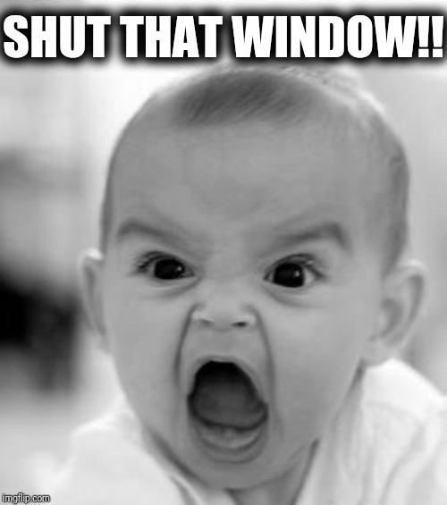 Angry Baby Meme | SHUT THAT WINDOW!! | image tagged in memes,angry baby | made w/ Imgflip meme maker