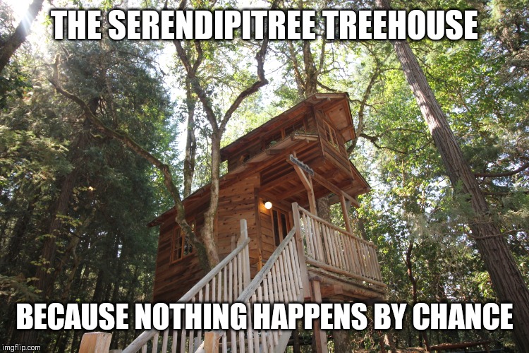 The Serendipitree treehouse | THE SERENDIPITREE TREEHOUSE; BECAUSE NOTHING HAPPENS BY CHANCE | image tagged in happy tree friends,dreamers,inspirational | made w/ Imgflip meme maker