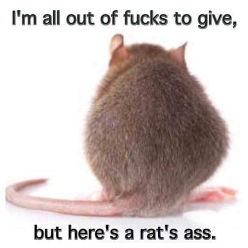 I'm all out of fucks to give, but here's a rat's ass! | image tagged in rats ass,democrats,you cant spell democrats without rats | made w/ Imgflip meme maker