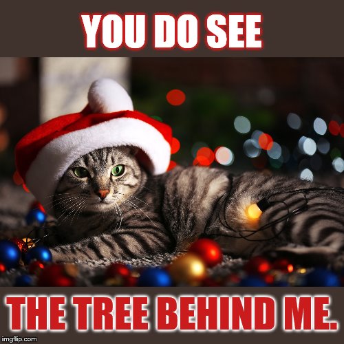 YOU DO SEE THE TREE BEHIND ME. | made w/ Imgflip meme maker