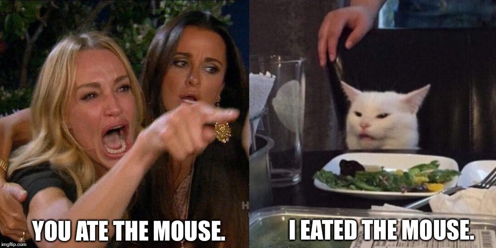 Woman yelling at cat | I EATED THE MOUSE. YOU ATE THE MOUSE. | image tagged in woman yelling at cat | made w/ Imgflip meme maker