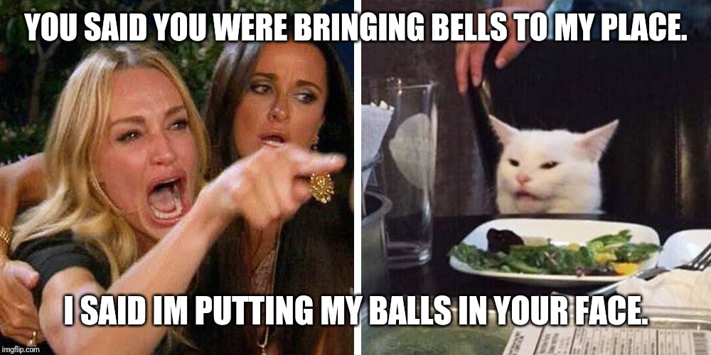 Smudge the cat | YOU SAID YOU WERE BRINGING BELLS TO MY PLACE. I SAID IM PUTTING MY BALLS IN YOUR FACE. | image tagged in smudge the cat | made w/ Imgflip meme maker