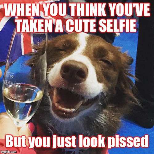 WHEN YOU THINK YOU’VE TAKEN A CUTE SELFIE; But you just look pissed | image tagged in drunk | made w/ Imgflip meme maker