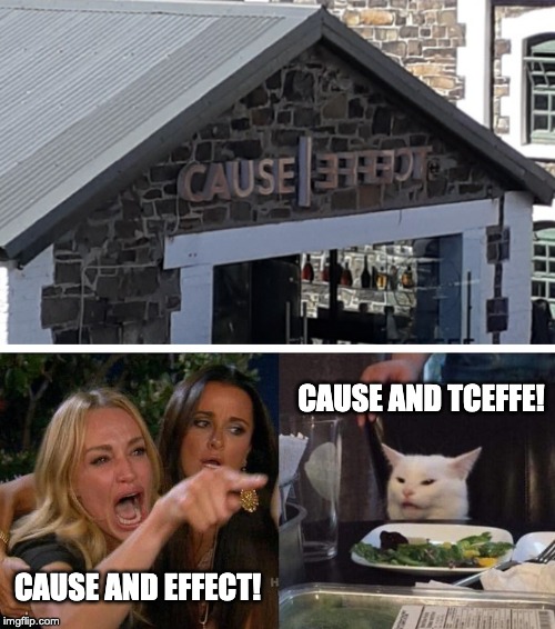 cause and tceffe | CAUSE AND TCEFFE! CAUSE AND EFFECT! | image tagged in memes,woman yelling at cat | made w/ Imgflip meme maker