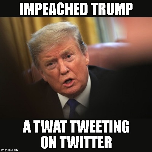 I Thought I Tsaw a Tstupid Twat | IMPEACHED TRUMP; A TWAT TWEETING ON TWITTER | image tagged in impeached trump,liar,criminal,trump is an asshole,corrupt,traitor | made w/ Imgflip meme maker