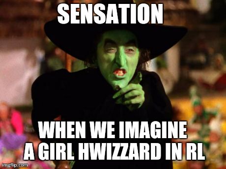 wicked witch  | SENSATION  WHEN WE IMAGINE A GIRL HWIZZARD IN RL | image tagged in wicked witch  | made w/ Imgflip meme maker