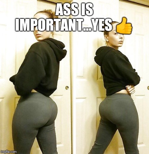 Myspace Hittablunt | ASS IS IMPORTANT...YES ? | image tagged in myspace hittablunt | made w/ Imgflip meme maker