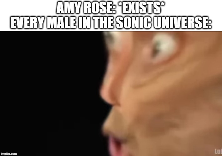 Amy rose has many fan-boys | AMY ROSE: *EXISTS*
EVERY MALE IN THE SONIC UNIVERSE: | image tagged in michael rosen,funny face | made w/ Imgflip meme maker