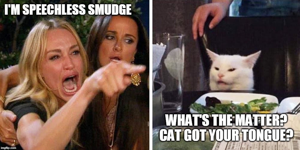 Smudge the cat | I'M SPEECHLESS SMUDGE; WHAT'S THE MATTER? CAT GOT YOUR TONGUE? | image tagged in smudge the cat | made w/ Imgflip meme maker