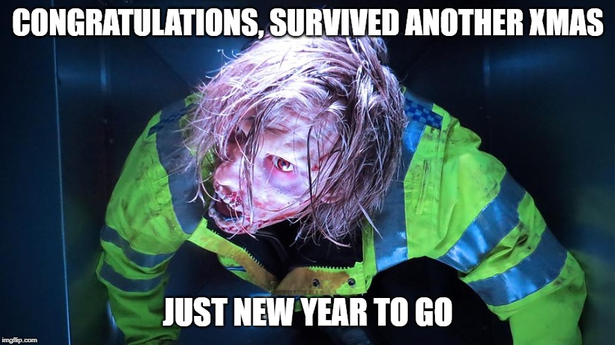 survived Xmas | CONGRATULATIONS, SURVIVED ANOTHER XMAS; JUST NEW YEAR TO GO | image tagged in xmas,survivor | made w/ Imgflip meme maker