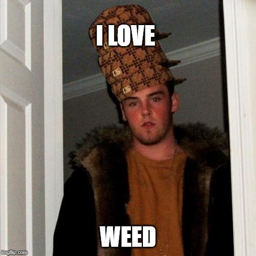 Scumbag Steve | I LOVE; WEED | image tagged in memes,scumbag steve | made w/ Imgflip meme maker