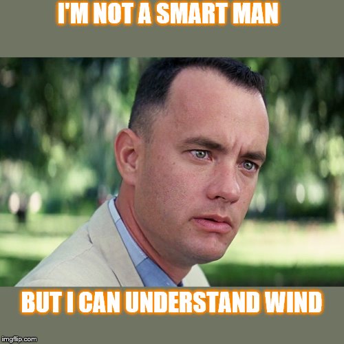And Just Like That Meme | I'M NOT A SMART MAN; BUT I CAN UNDERSTAND WIND | image tagged in memes,and just like that | made w/ Imgflip meme maker