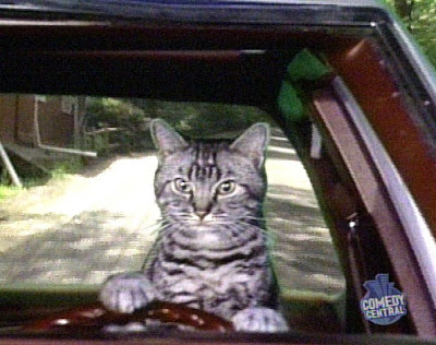 Toonsis the cat that could drive Blank Meme Template