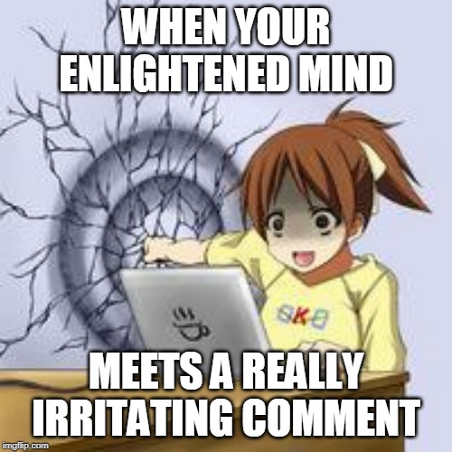 Anime wall punch | WHEN YOUR ENLIGHTENED MIND; MEETS A REALLY IRRITATING COMMENT | image tagged in anime wall punch | made w/ Imgflip meme maker
