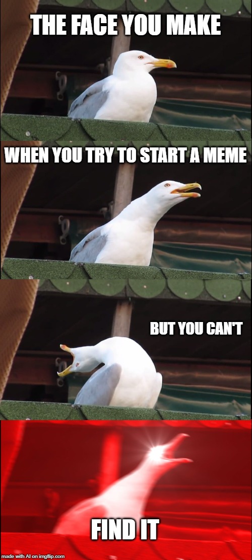 Inhaling Seagull | THE FACE YOU MAKE; WHEN YOU TRY TO START A MEME; BUT YOU CAN'T; FIND IT | image tagged in memes,inhaling seagull | made w/ Imgflip meme maker