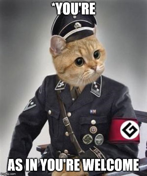 Grammar Nazi Cat | *YOU'RE AS IN YOU'RE WELCOME | image tagged in grammar nazi cat | made w/ Imgflip meme maker