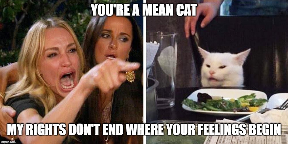 Smudge the cat | YOU'RE A MEAN CAT; MY RIGHTS DON'T END WHERE YOUR FEELINGS BEGIN | image tagged in smudge the cat | made w/ Imgflip meme maker