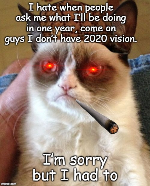 2020 vision | I hate when people ask me what I’ll be doing in one year, come on guys I don’t have 2020 vision. I’m sorry but I had to | image tagged in grumpy cat | made w/ Imgflip meme maker
