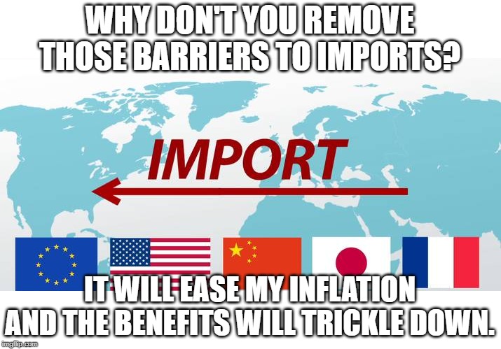 Import | WHY DON'T YOU REMOVE THOSE BARRIERS TO IMPORTS? IT WILL EASE MY INFLATION AND THE BENEFITS WILL TRICKLE DOWN. | image tagged in politics | made w/ Imgflip meme maker