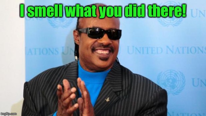 stevie wonder | I smell what you did there! | image tagged in stevie wonder | made w/ Imgflip meme maker