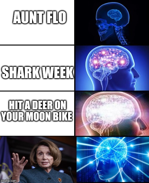 Levels of B!%#$ | AUNT FLO; SHARK WEEK; HIT A DEER ON YOUR MOON BIKE | image tagged in expanding brain 4 panels | made w/ Imgflip meme maker