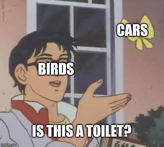 Is This A Pigeon | CARS; BIRDS; IS THIS A TOILET? | image tagged in memes,is this a pigeon | made w/ Imgflip meme maker