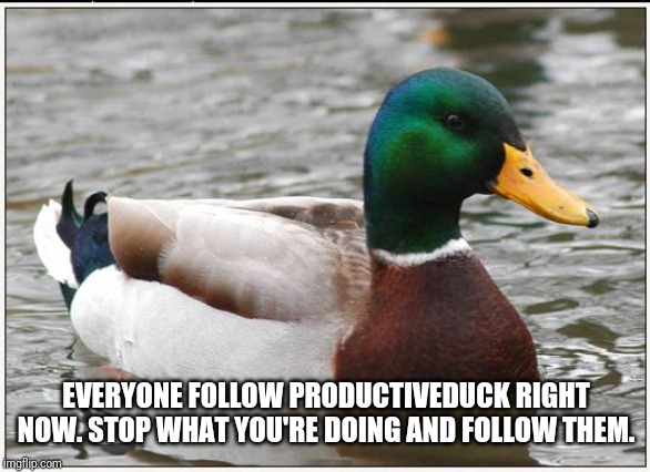 Actual Advice Mallard | EVERYONE FOLLOW PRODUCTIVEDUCK RIGHT NOW. STOP WHAT YOU'RE DOING AND FOLLOW THEM. | image tagged in memes,actual advice mallard | made w/ Imgflip meme maker
