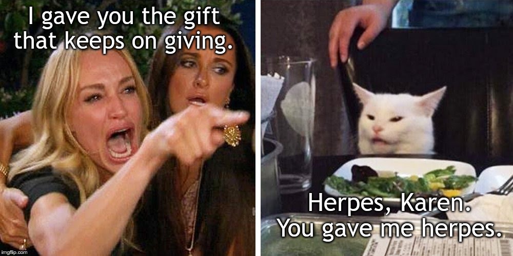 Smudge the cat | I gave you the gift that keeps on giving. Herpes, Karen. You gave me herpes. | image tagged in smudge the cat | made w/ Imgflip meme maker