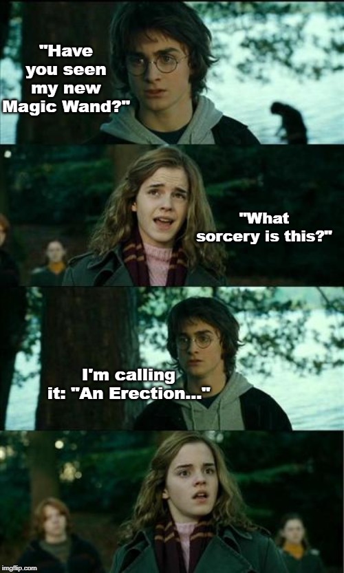 Puberty At Hogwarts | "Have you seen my new Magic Wand?"; "What sorcery is this?"; I'm calling it: "An Erection..." | image tagged in memes,horny harry,funny memes,harry potter meme,hogwarts,hilarious memes | made w/ Imgflip meme maker
