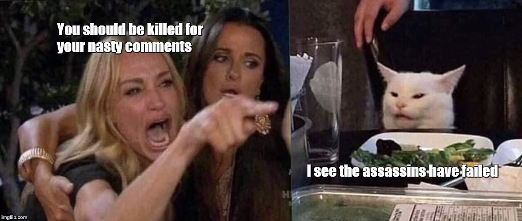 woman yelling at cat | You should be killed for
your nasty comments; I see the assassins have failed | image tagged in woman yelling at cat | made w/ Imgflip meme maker