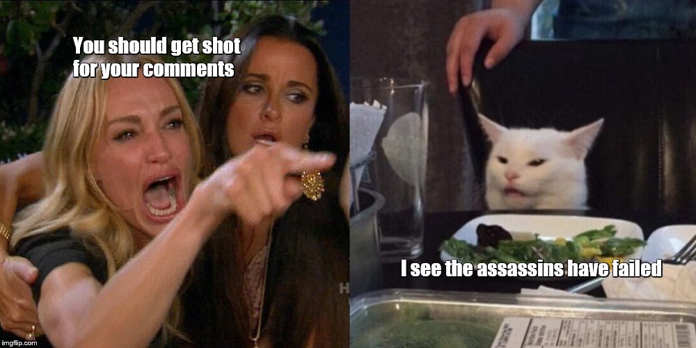 Woman yelling at cat | You should get shot 
for your comments; I see the assassins have failed | made w/ Imgflip meme maker