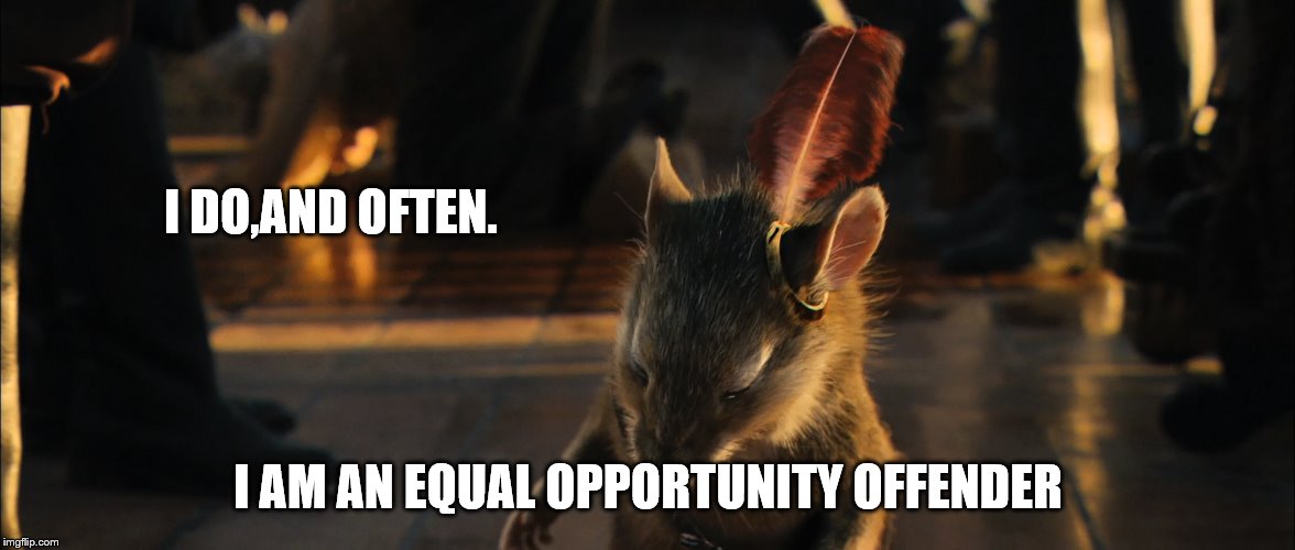 I DO,AND OFTEN. I AM AN EQUAL OPPORTUNITY OFFENDER | made w/ Imgflip meme maker