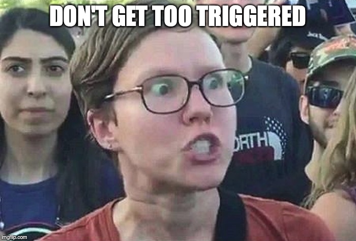 Triggered Liberal | DON'T GET TOO TRIGGERED | image tagged in triggered liberal | made w/ Imgflip meme maker