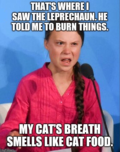 Greta Thunberg how dare you | THAT'S WHERE I SAW THE LEPRECHAUN. HE TOLD ME TO BURN THINGS. MY CAT’S BREATH SMELLS LIKE CAT FOOD. | image tagged in greta thunberg how dare you | made w/ Imgflip meme maker