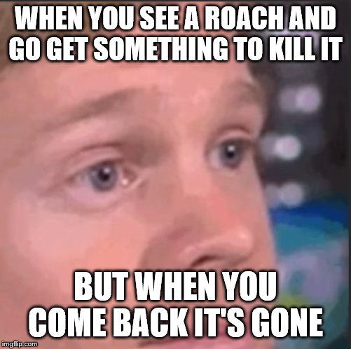 Roaches | WHEN YOU SEE A ROACH AND GO GET SOMETHING TO KILL IT; BUT WHEN YOU COME BACK IT'S GONE | image tagged in cockroaches | made w/ Imgflip meme maker