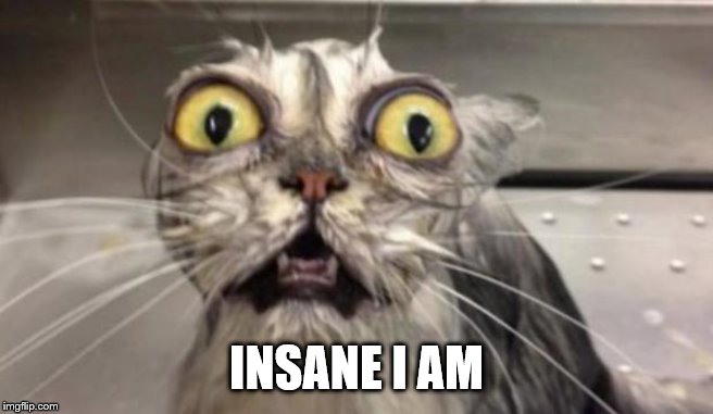 Crazy Cat | INSANE I AM | image tagged in crazy cat | made w/ Imgflip meme maker