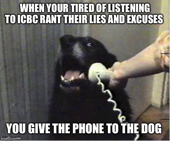 Icbc | WHEN YOUR TIRED OF LISTENING TO ICBC RANT THEIR LIES AND EXCUSES; YOU GIVE THE PHONE TO THE DOG | image tagged in doggo on phone,dog,iphone | made w/ Imgflip meme maker