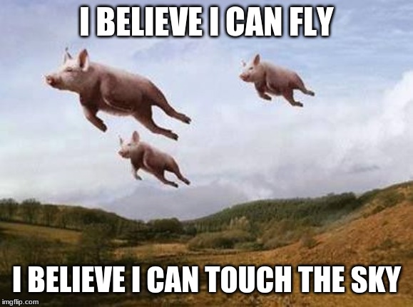 Pigs Fly | I BELIEVE I CAN FLY I BELIEVE I CAN TOUCH THE SKY | image tagged in pigs fly | made w/ Imgflip meme maker
