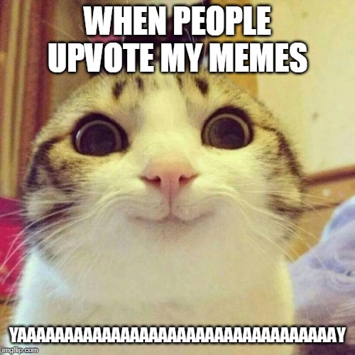 Smiling Cat | WHEN PEOPLE UPVOTE MY MEMES; YAAAAAAAAAAAAAAAAAAAAAAAAAAAAAAAAAAY | image tagged in memes,smiling cat | made w/ Imgflip meme maker