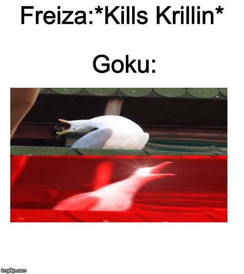 DBZ Meme #1 | Freiza:*Kills Krillin*; Goku: | image tagged in blank white template,screaming seagull | made w/ Imgflip meme maker