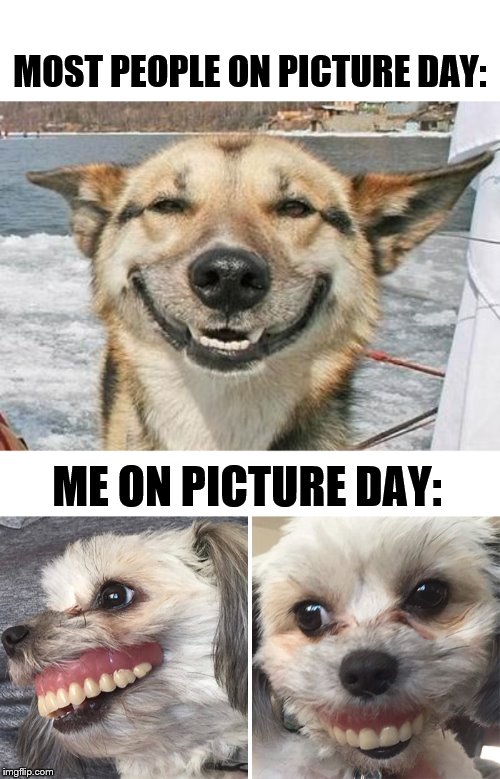 Picture Day Doggos | MOST PEOPLE ON PICTURE DAY:; ME ON PICTURE DAY: | image tagged in smiling dog,doggo,doggos,pictures,picture,smile | made w/ Imgflip meme maker