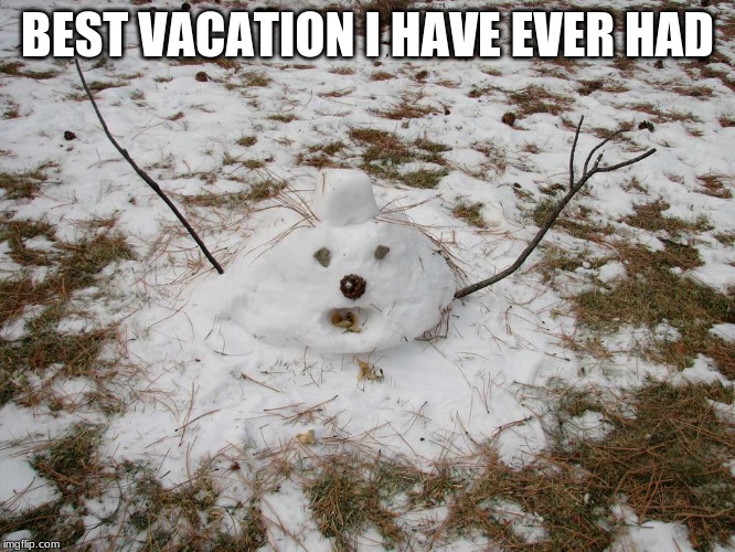 Melted Snowman | BEST VACATION I HAVE EVER HAD | image tagged in melted snowman | made w/ Imgflip meme maker