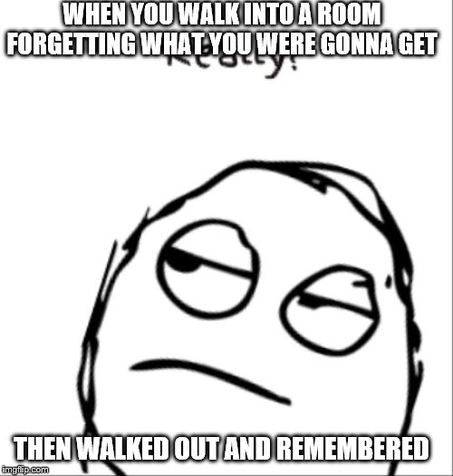WHEN YOU WALK INTO A ROOM FORGETTING WHAT YOU WERE GONNA GET; THEN WALKED OUT AND REMEMBERED | image tagged in seriously,really | made w/ Imgflip meme maker