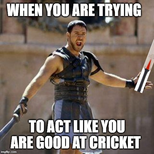 ARE YOU NOT SPORTS ENTERTAINED? | WHEN YOU ARE TRYING; TO ACT LIKE YOU ARE GOOD AT CRICKET | image tagged in are you not sports entertained | made w/ Imgflip meme maker