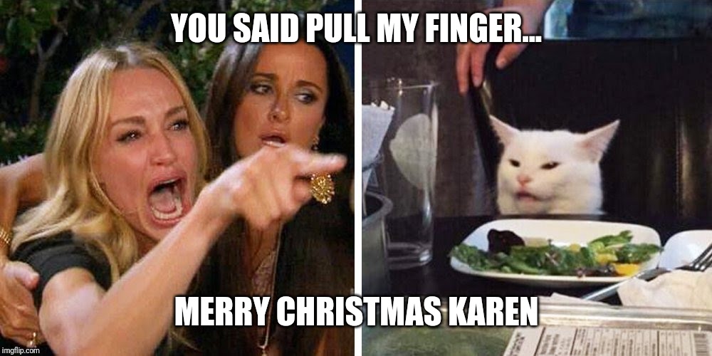 Smudge the cat | YOU SAID PULL MY FINGER... MERRY CHRISTMAS KAREN | image tagged in smudge the cat | made w/ Imgflip meme maker